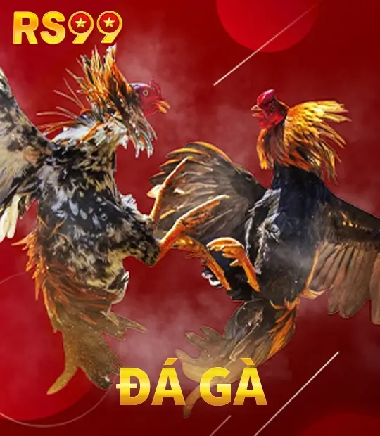 Đá gà