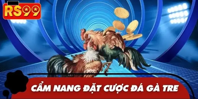 Bet thủ dễ dàng đạt được lợi nhuận tại sàn đấu gà tre