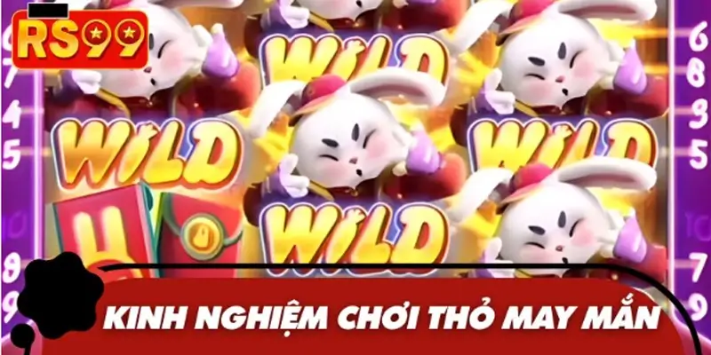 Bỏ túi các chiến lược chơi thỏ lucky hiệu quả từ chuyên gia