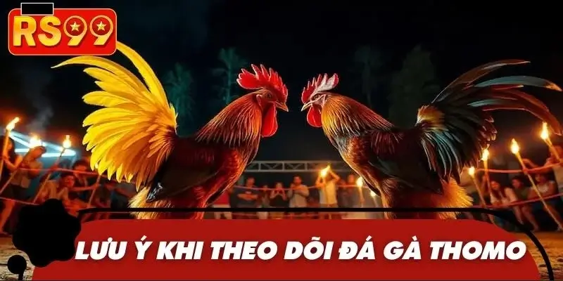 Bỏ túi những lưu ý hữu ích khi đặt cược tại trường gà Thomo