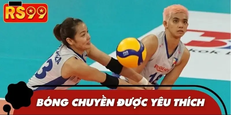 Bóng chuyền trong năm 2025 khá được ưa chuộng