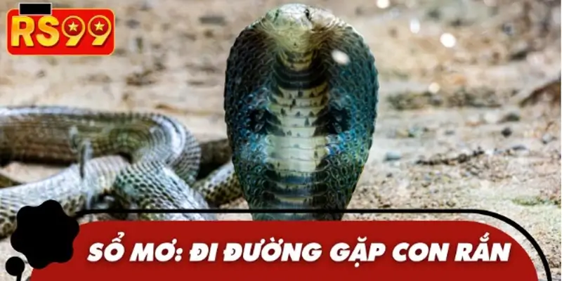 Chi tiết giải mã các trường hợp gặp con rắn trong số mơ