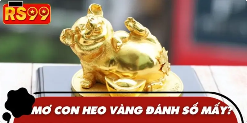 Con số may mắn liên kết với giấc mơ thấy con heo vàng