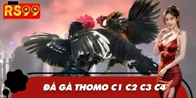 Đá Gà Thomo