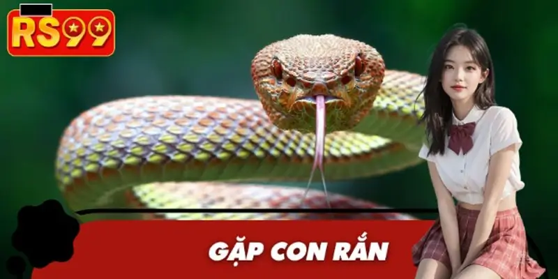 Đi Đường Gặp Con Rắn