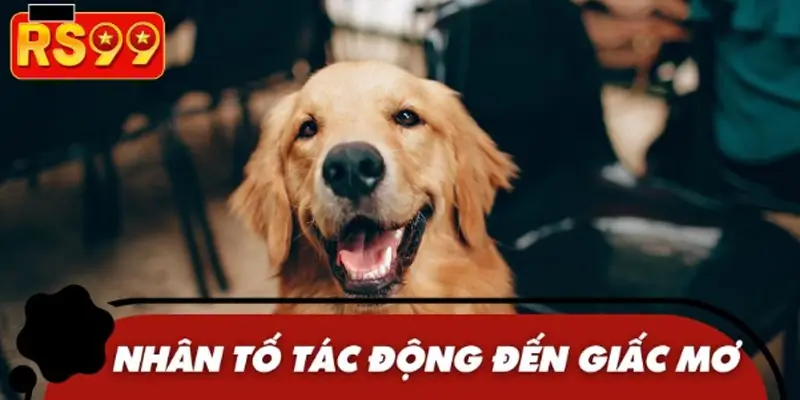 Điều kiện ảnh hưởng đến điềm báo trong mơ