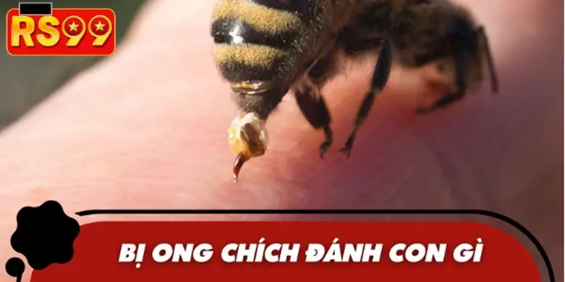 Giải đáp chi tiết các trường hợp bị ong đốt