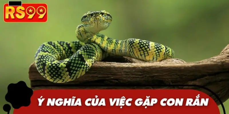 Giải đáp ý khi đi đường gặp con rắn