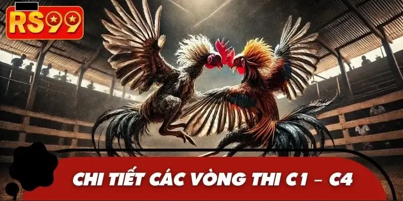 Giới thiệu chi tiết vòng thi C1 đến C4