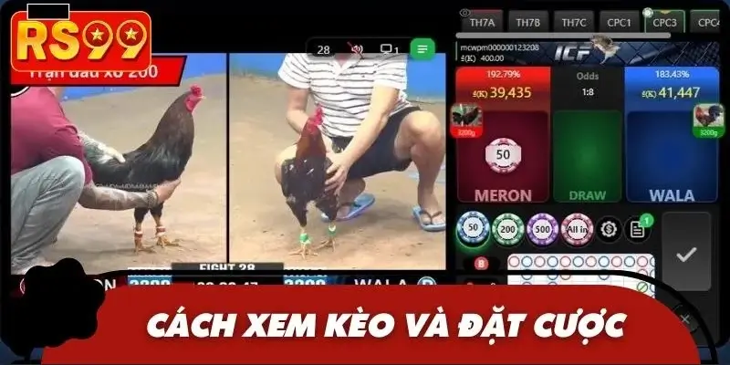 Gợi ý cách đặt cược siêu hiệu quả