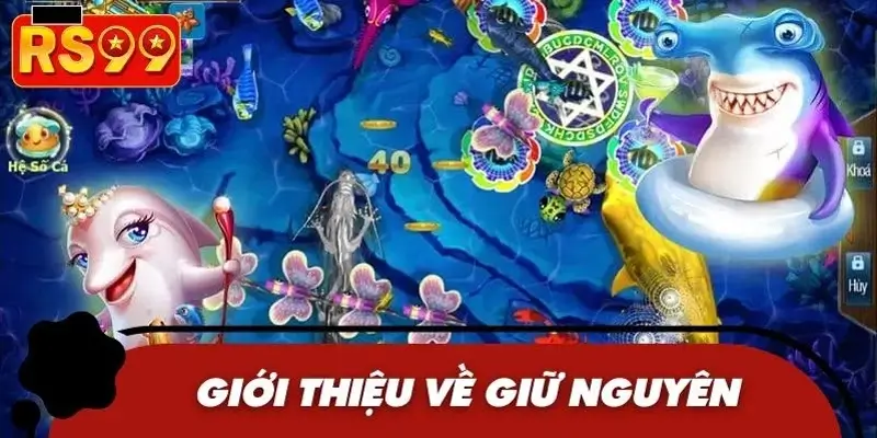 Khái quát nhanh thông tin về khái niệm giữ nguyên