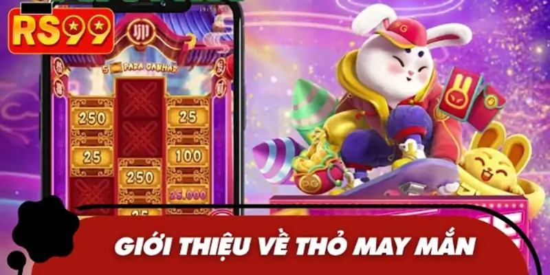 Khái quát nhanh thông tin về thỏ may mắn