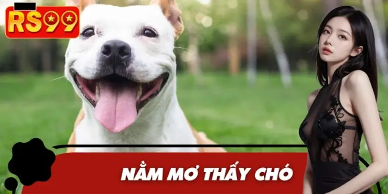 Nằm Mơ Thấy Chó Đẻ