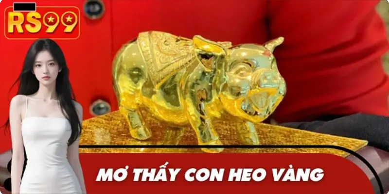 Nằm Mơ Thấy Con Heo Vàng
