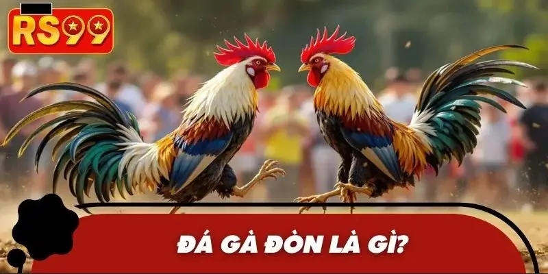 Tìm hiểu về đá gà đòn