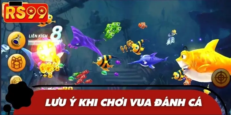 Tổng hợp lưu ý quan trọng dành cho ngư thủ mới