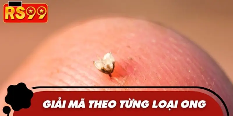 Ý nghĩa và thông tin chi tiết của từng loại ong